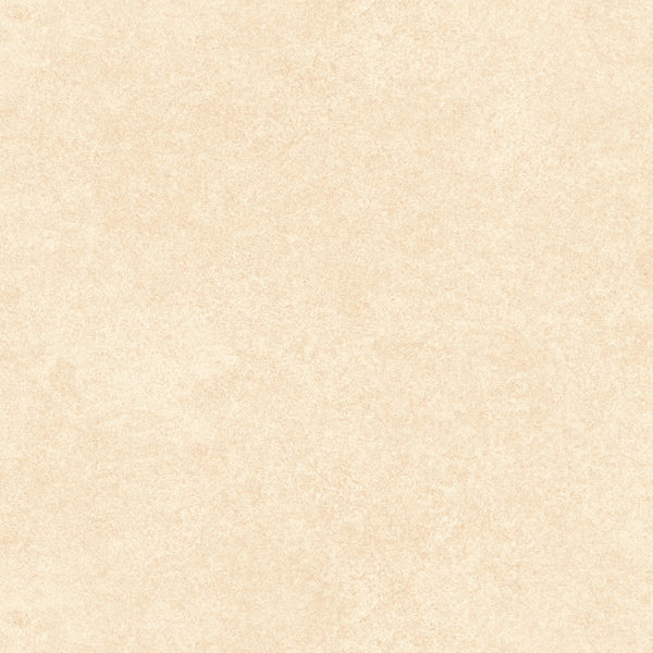 NEW TERRE EMILIANA 30X30